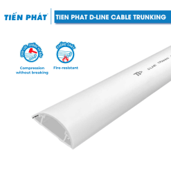 Tien Phat D-line Trucking