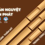 NẸP BÁN NGUYỆT VÂN GỖ TIẾN PHÁT – THẨM MỸ, AN TOÀN TRONG TỪNG ĐƯỜNG VÂN GỖ