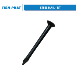 STEEL NAIL