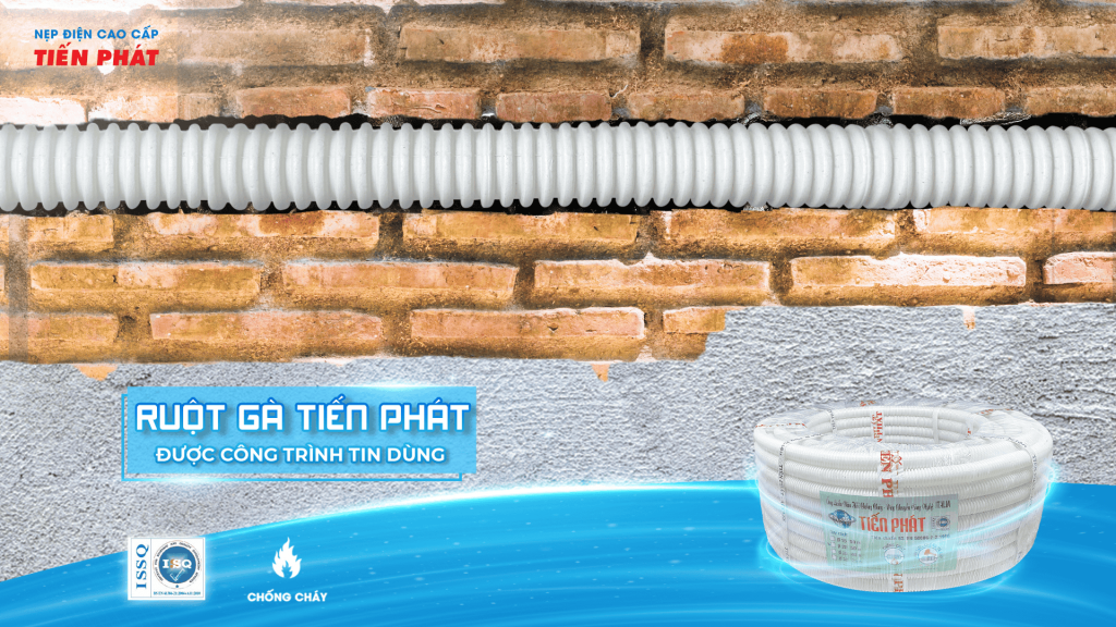 ruột gà tiến phát