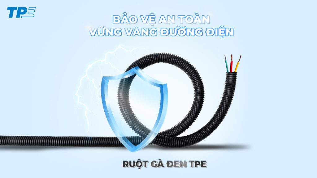 ruột gà đen tpe