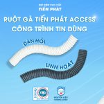 RUỘT GÀ TIẾN PHÁT – ACCESS: CÔNG TRÌNH TIN DÙNG