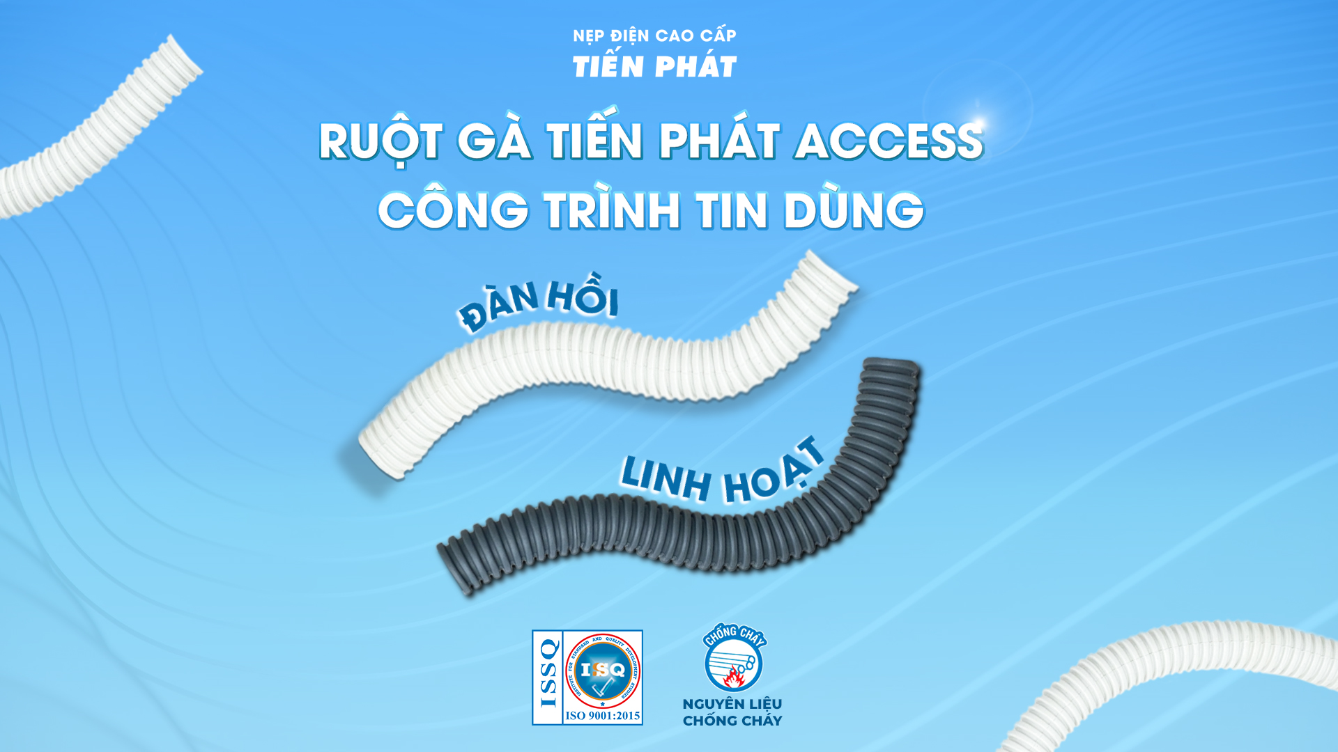 ruột gà tiến phát access
