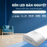 ĐÈN LED BÁN NGUYỆT TPE – SÁNG CHUẨN MÀU, SANG KHÔNG GIAN